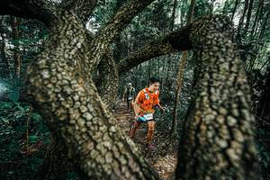 BIB: 
                            <button type="button" onclick="openModal(25392490)" class="btn btn-primary btn-sm float-right btn-popup" data-toggle="modal" data-target=".modal-high-quality">
                        <i class="fas fa-shopping-cart"></i> Add to Cart
                    </button>
                                            <button type="button" onclick="isThisMe(25392490, true)" class="btn btn-success btn-sm float-right btn-popup btn-isme hidden" data-toggle="tooltip" data-placement="bottom" title="นี่คือรูปของคุณใช่ไหม คลิกที่นี่เพื่อเอาเข้าอัลบั้ม">
                        <i class="fas fa-plus"></i> Add to album
                    </button>
                    <button type="button" onclick="isThisMe(25392490, false)" class="btn btn-warning btn-sm float-right btn-popup btn-isnotme hidden">
                        <i class="fas fa-ban"></i> Remove from album
                    </button>